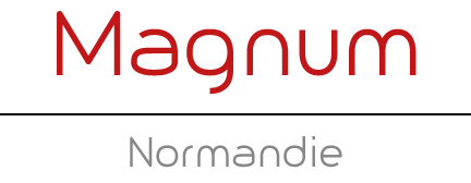 Magnum Normandie, location de minibus et car avec chauffeur sur le Havre et la Normandie